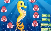 Magic Seahorse