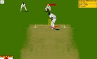 Virtuelni Kriket
