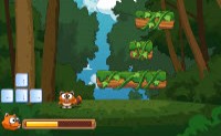 Raccoon Jump